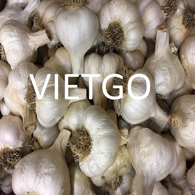 vietgo-xuat-khau-Toi-den-An-Do vietgo-xuat-khau-Toi-den-An-Do